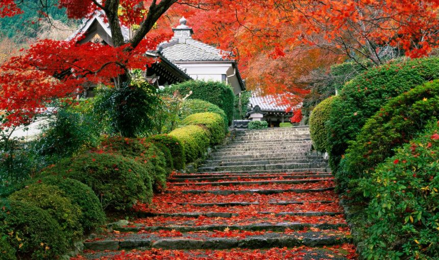 Japón a tu aire con Maldivas
