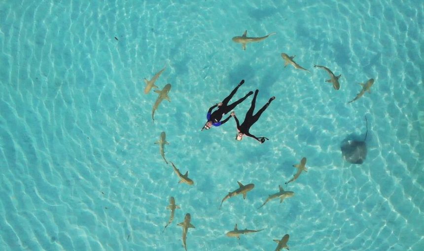 Costa Oeste con Moorea