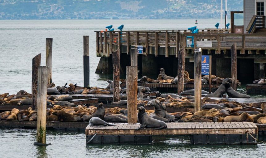 Parques de California con Moorea